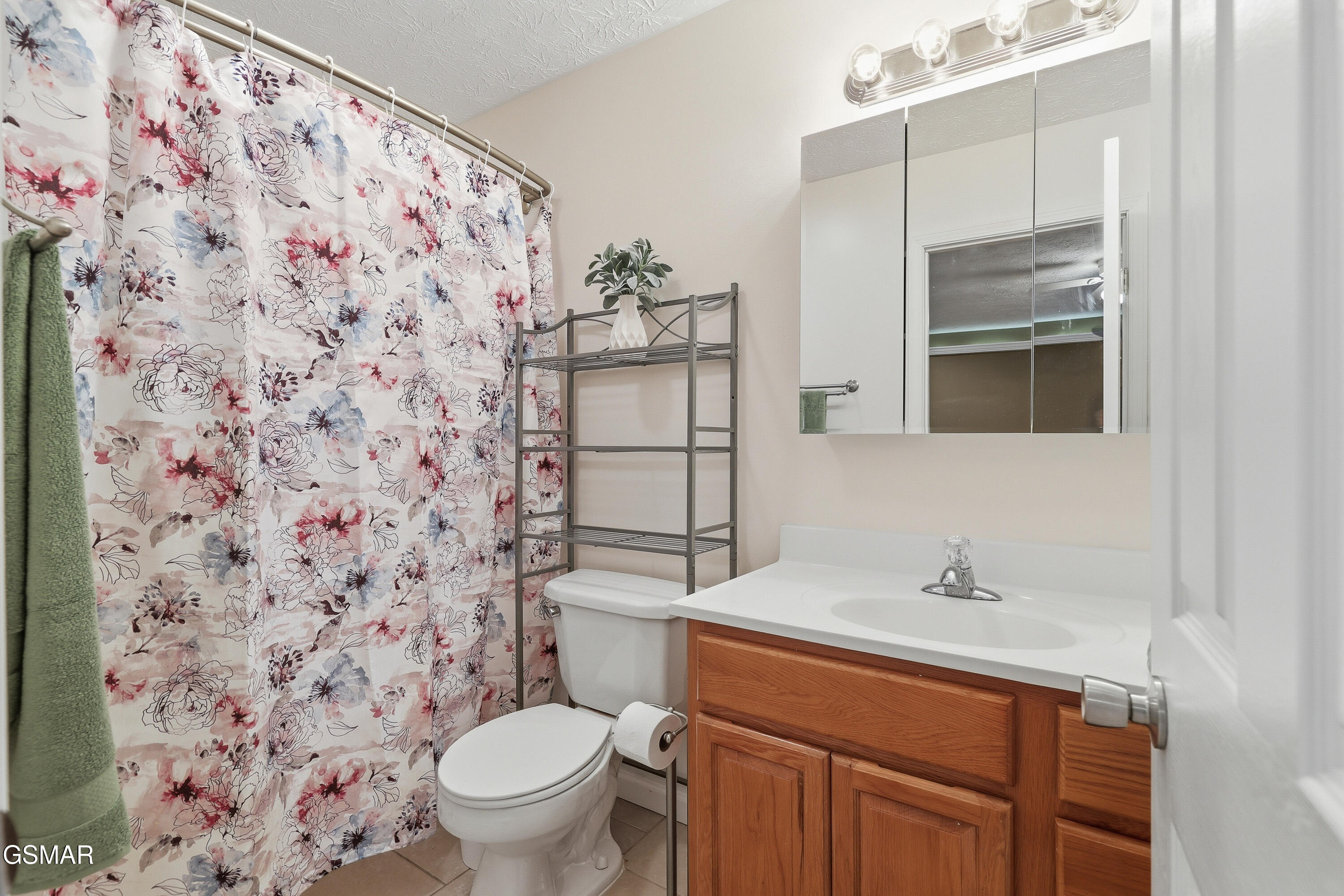 529 Hills Gate Circle Seymour TN 37865