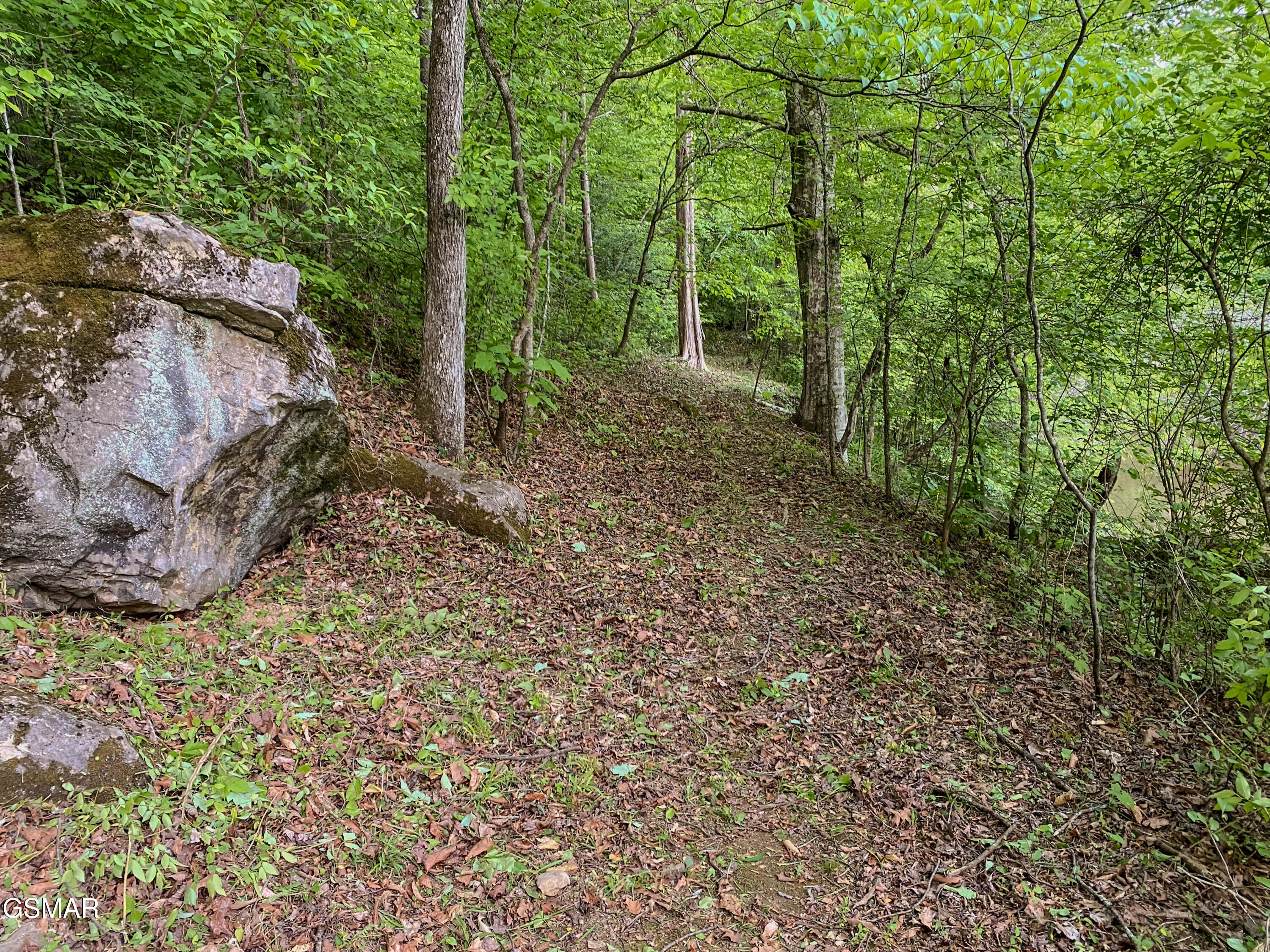 639 S Arch Rock Drive Sevierville TN 37876