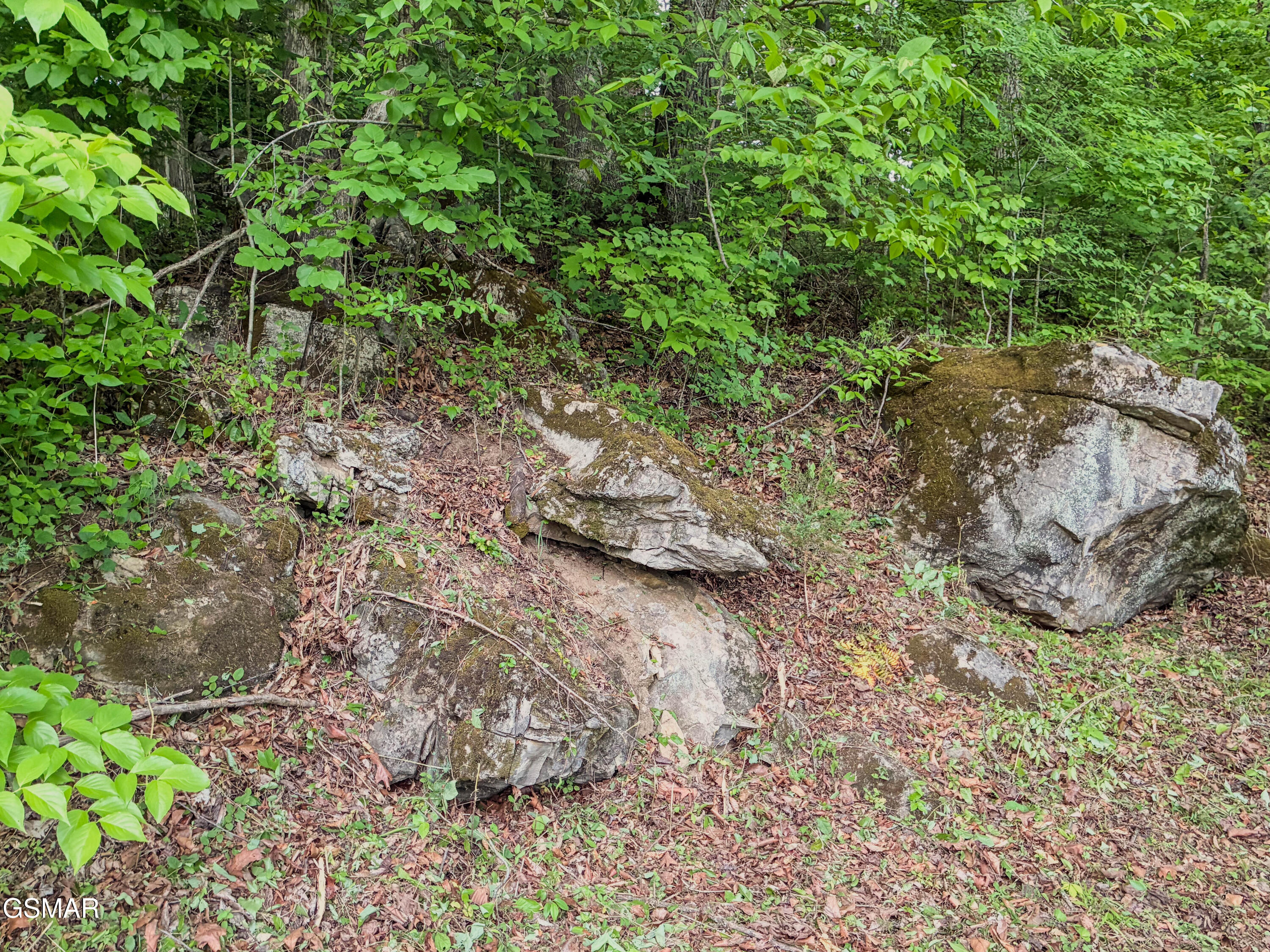 639 S Arch Rock Drive Sevierville TN 37876