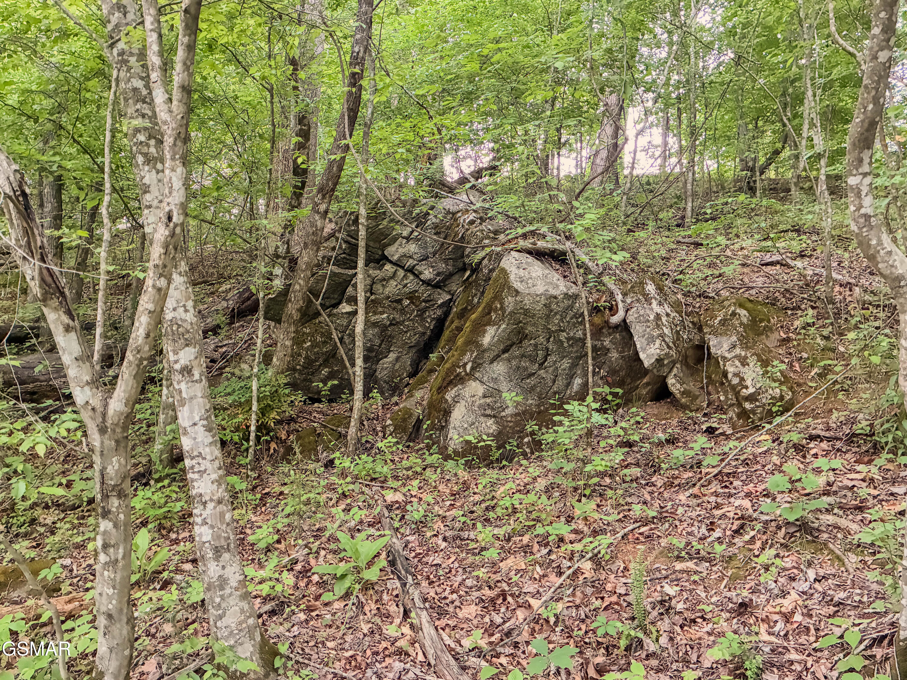 639 S Arch Rock Drive Sevierville TN 37876