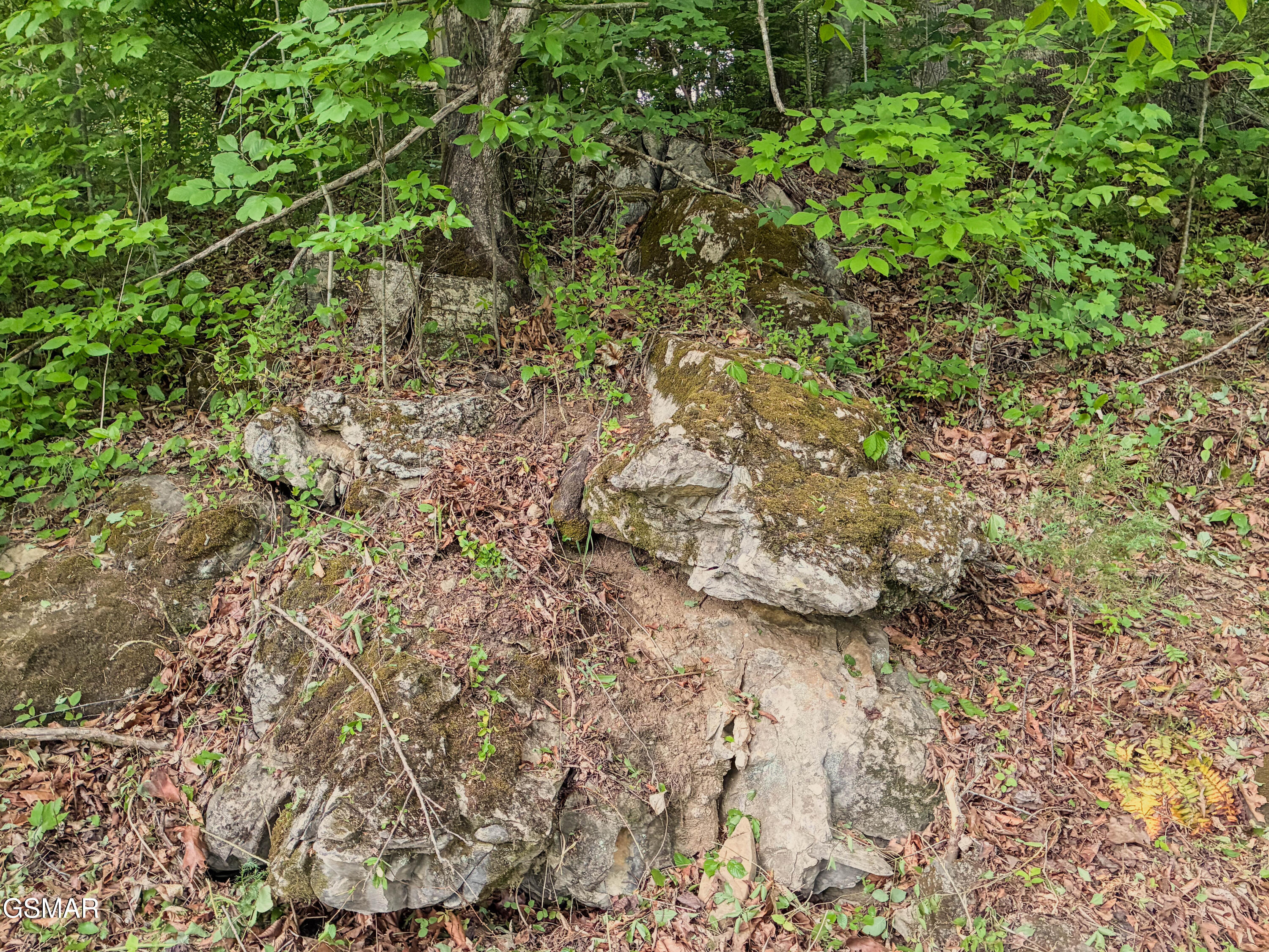 639 S Arch Rock Drive Sevierville TN 37876