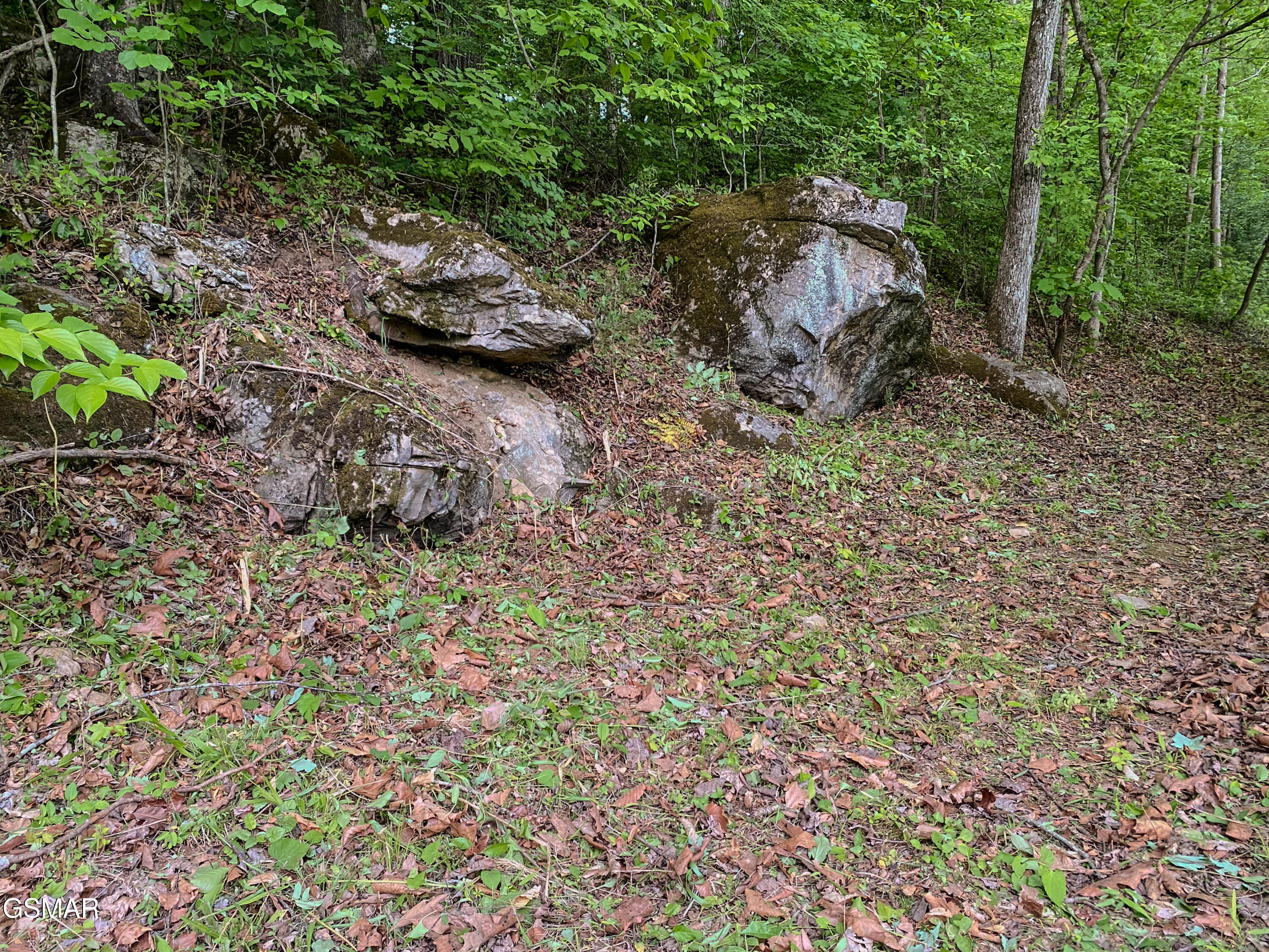 639 S Arch Rock Drive Sevierville TN 37876