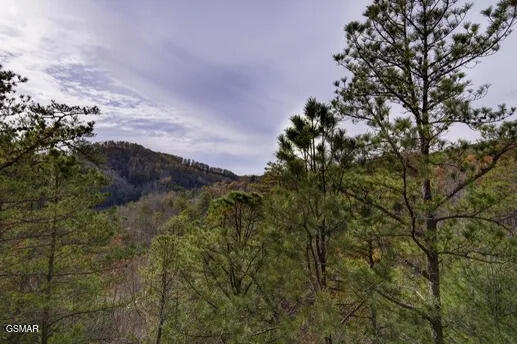 1340 Parkview Vista Way Pigeon Forge TN 37863
