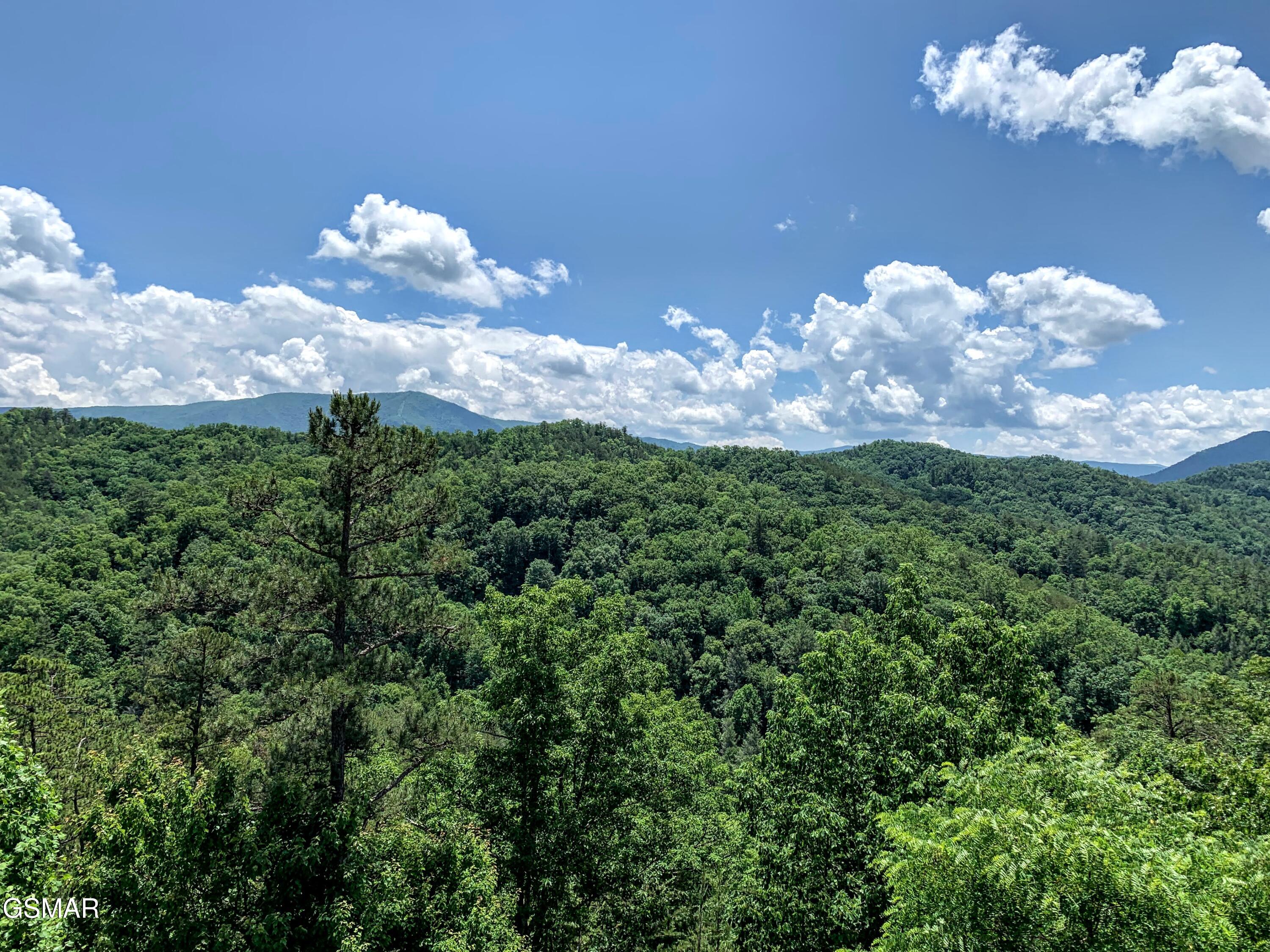 2866 White Oak Ridge Lane Sevierville TN 37862