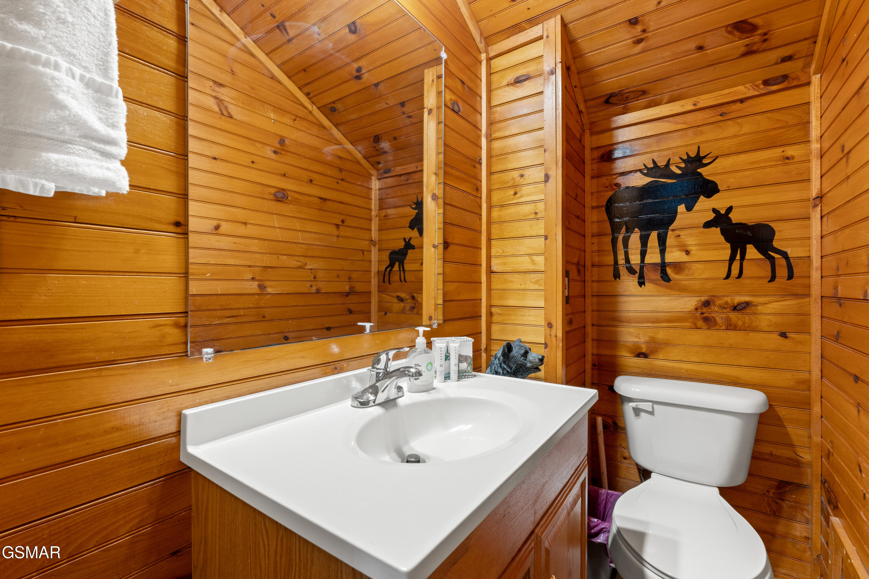 742 Nighthawk Way Pigeon Forge TN 37863