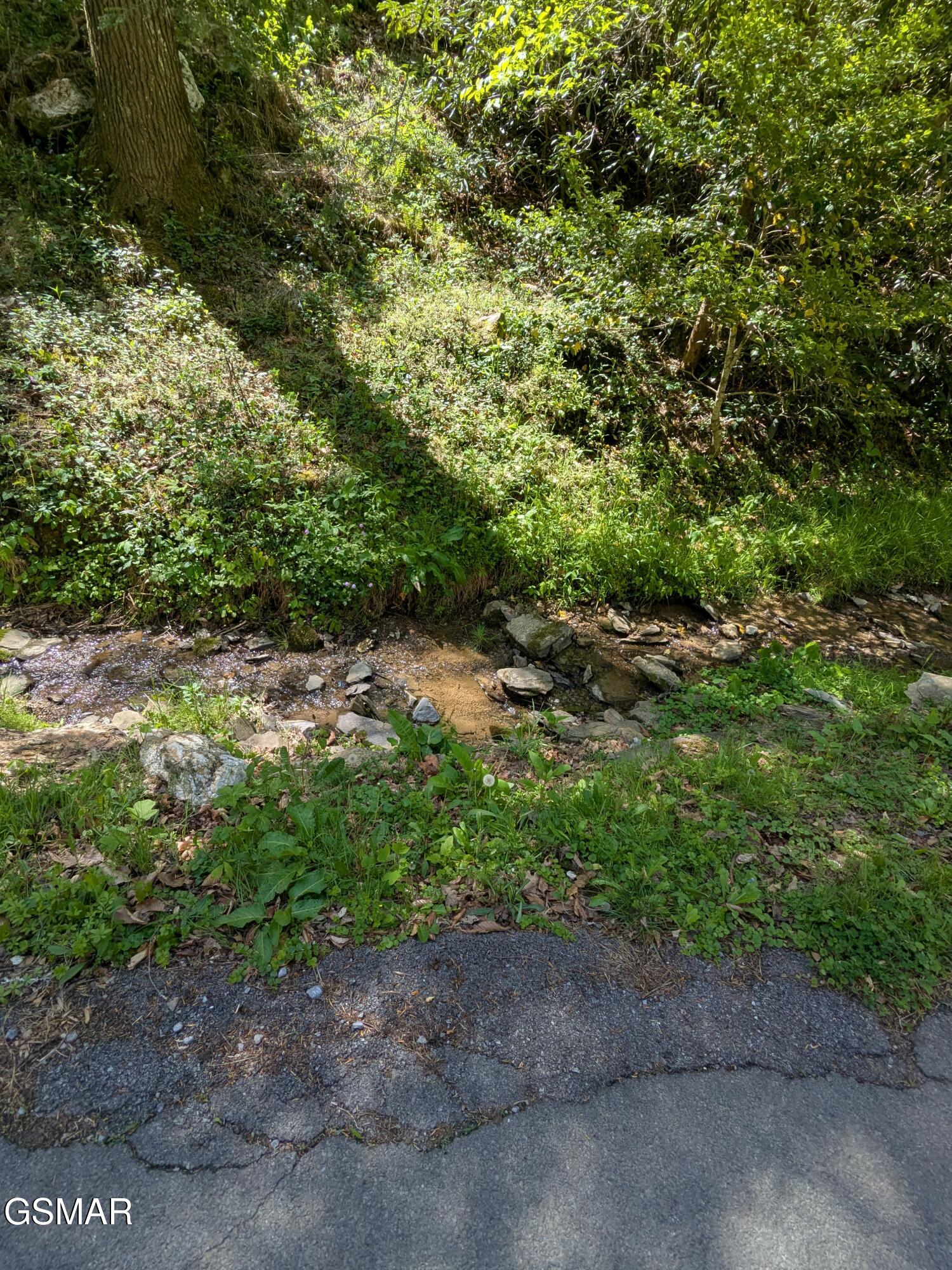 2202 Price Cove Road Sevierville TN 37876