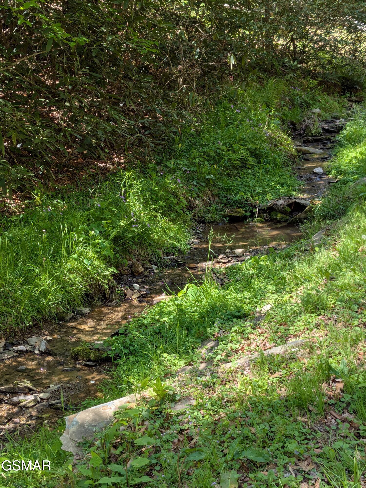2202 Price Cove Road Sevierville TN 37876