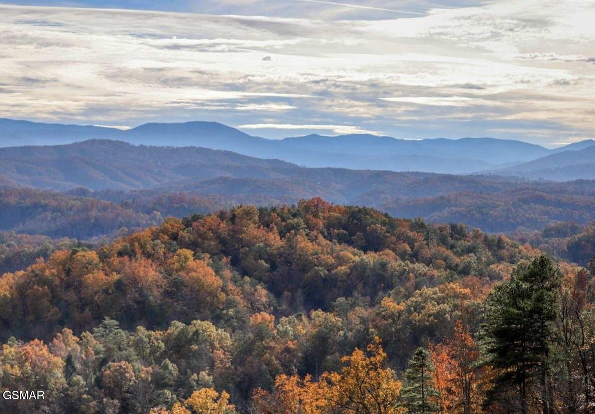 2310 Top Of The World Drive Sevierville TN 37876