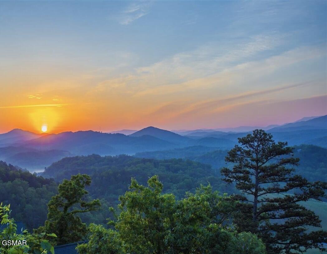 2310 Top Of The World Drive Sevierville TN 37876