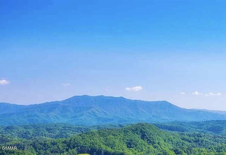 2310 Top Of The World Drive Sevierville TN 37876