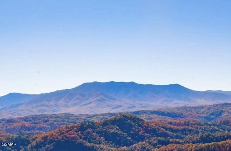 2310 Top Of The World Drive Sevierville TN 37876
