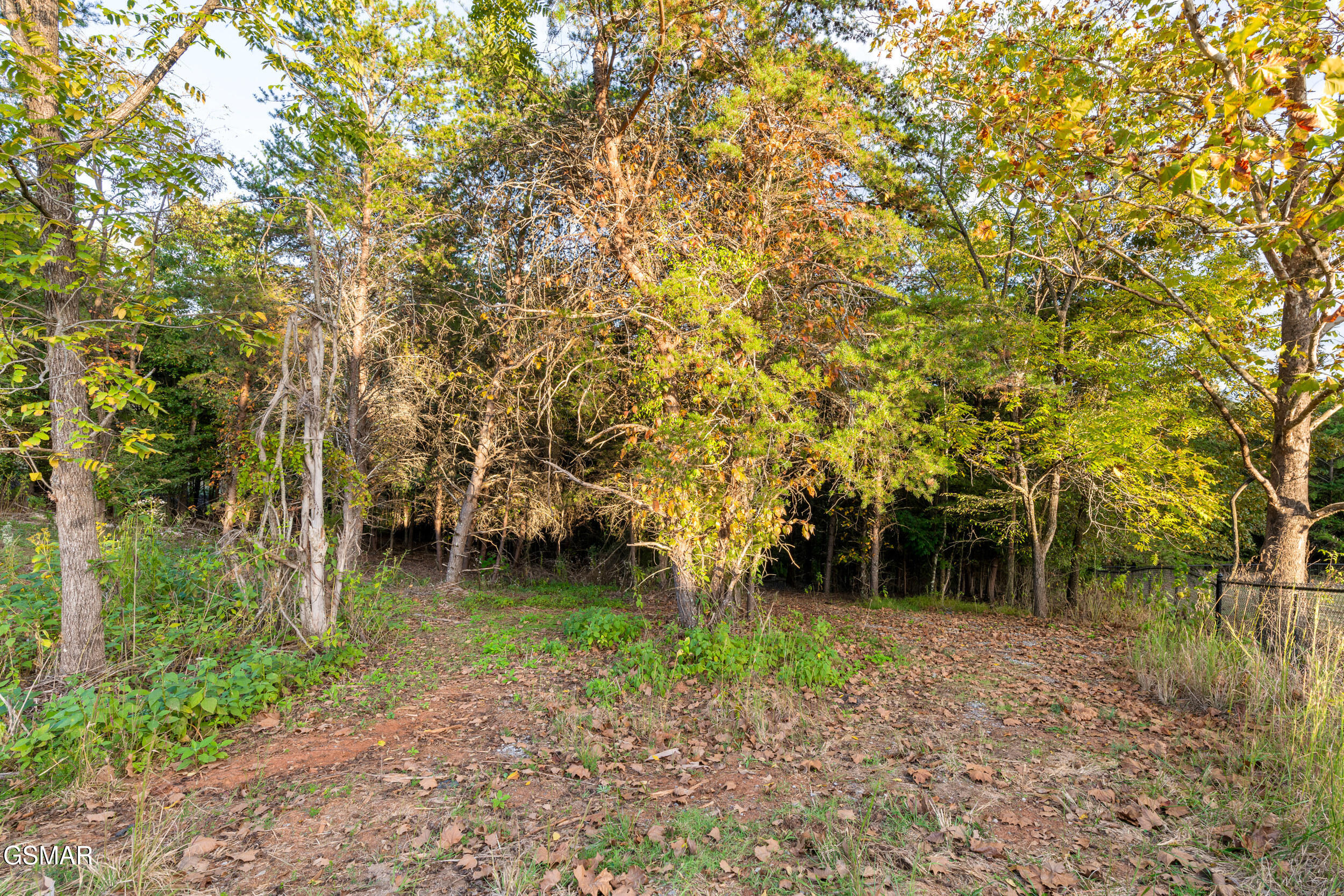 836 River Cliff Drive Kodak TN 37764