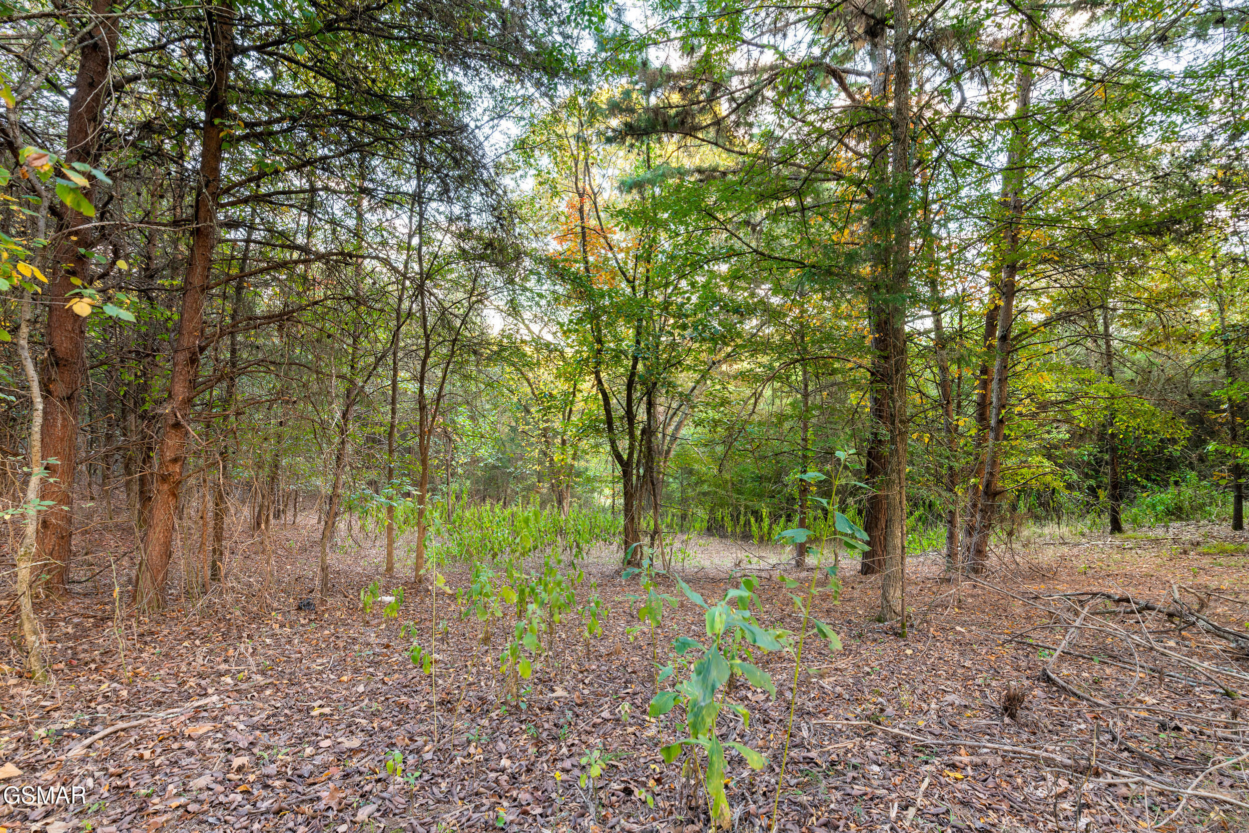 836 River Cliff Drive Kodak TN 37764