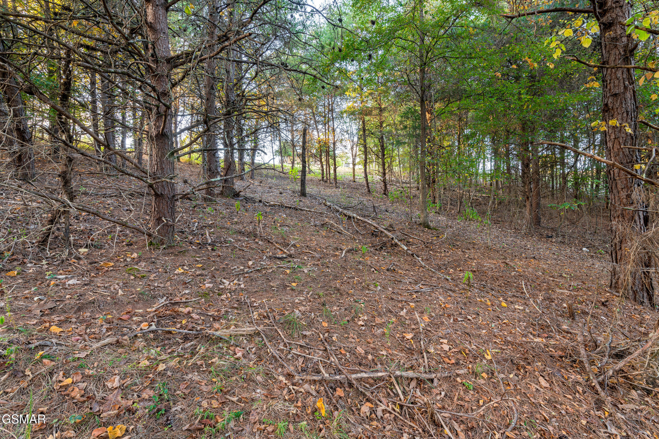 836 River Cliff Drive Kodak TN 37764