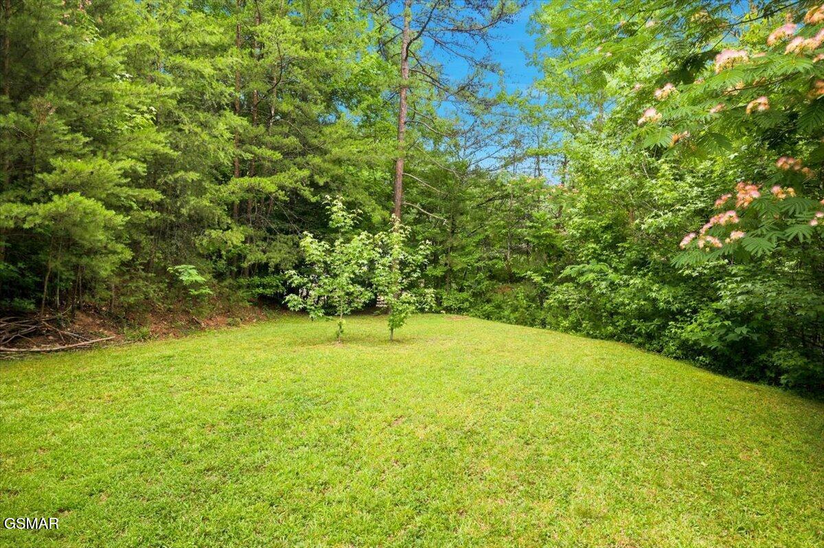 3007 Winding Way Cosby TN 37722