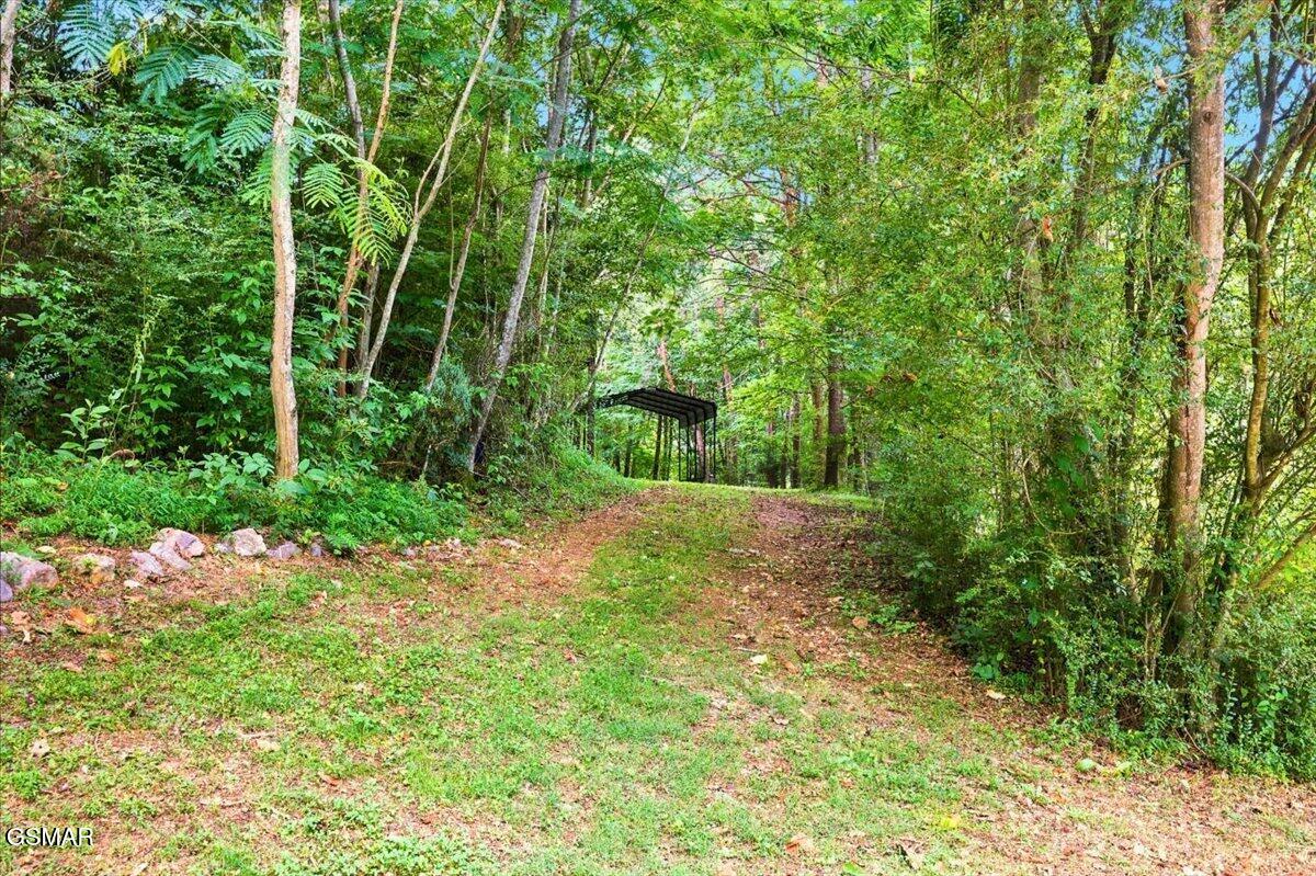 3007 Winding Way Cosby TN 37722