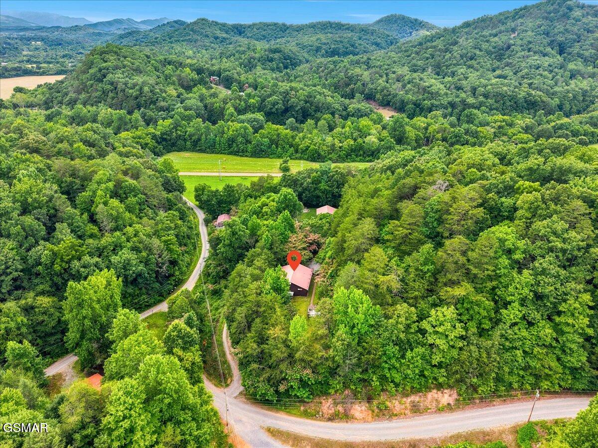 3007 Winding Way Cosby TN 37722