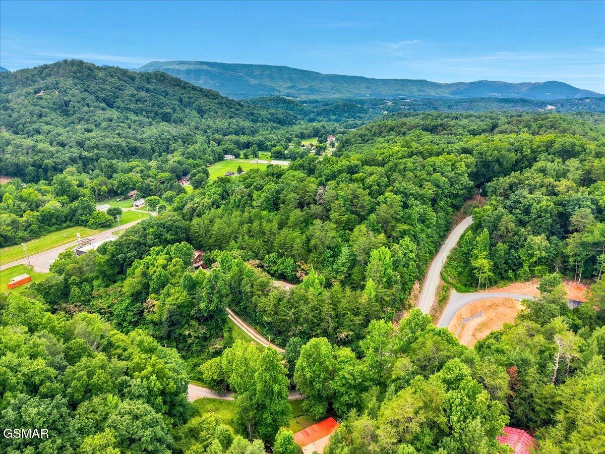 3007 Winding Way Cosby TN 37722