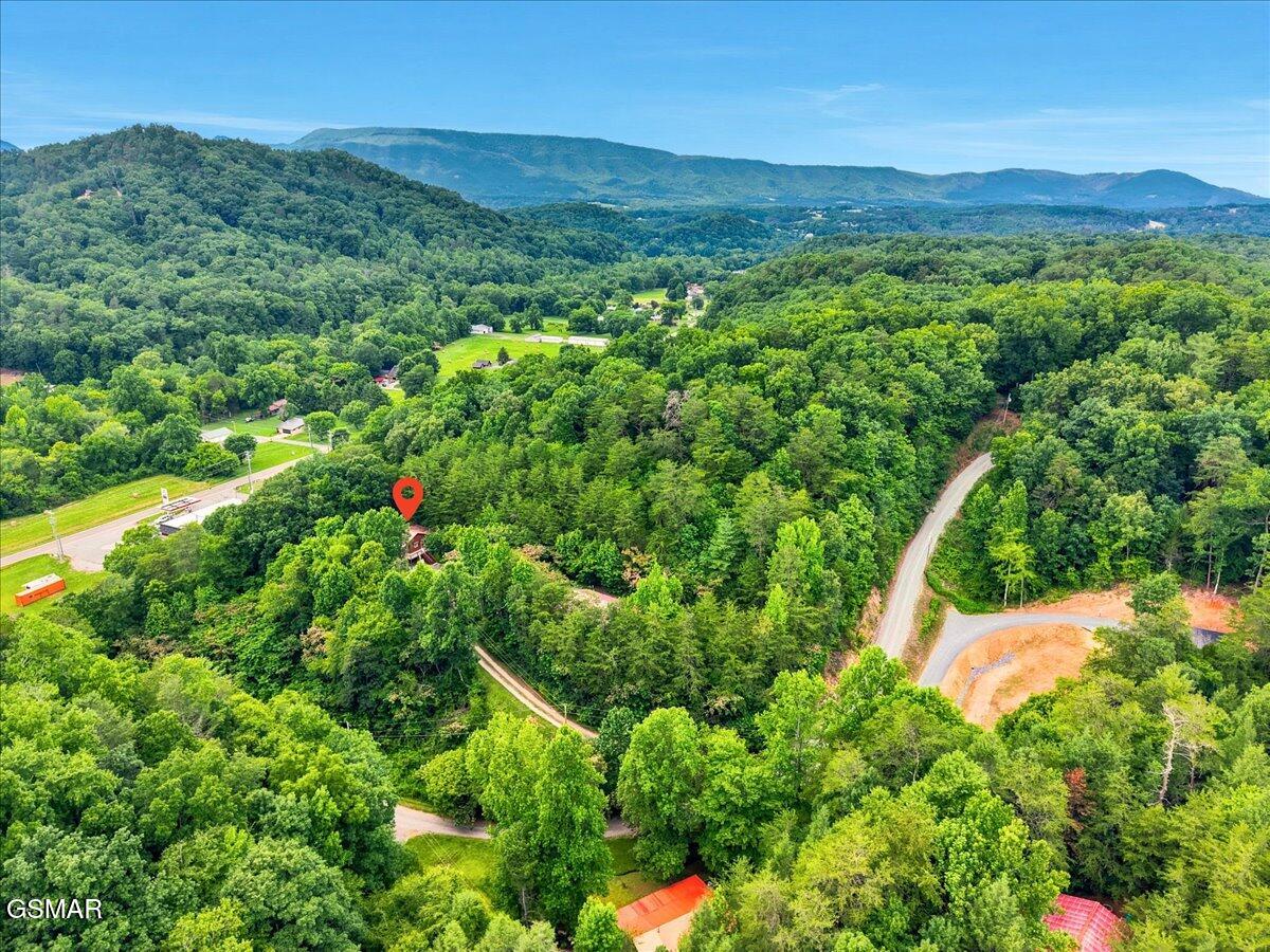 3007 Winding Way Cosby TN 37722