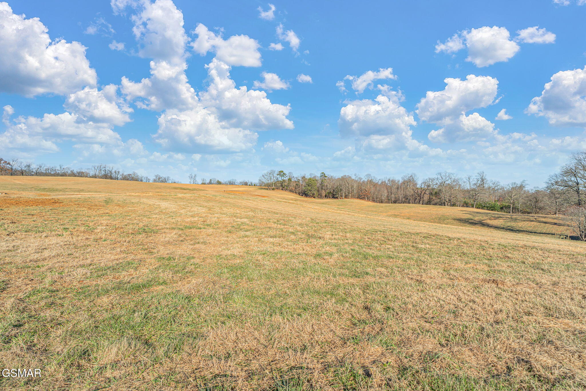 940 Thorngrove Pike Strawberry Plains TN 37871