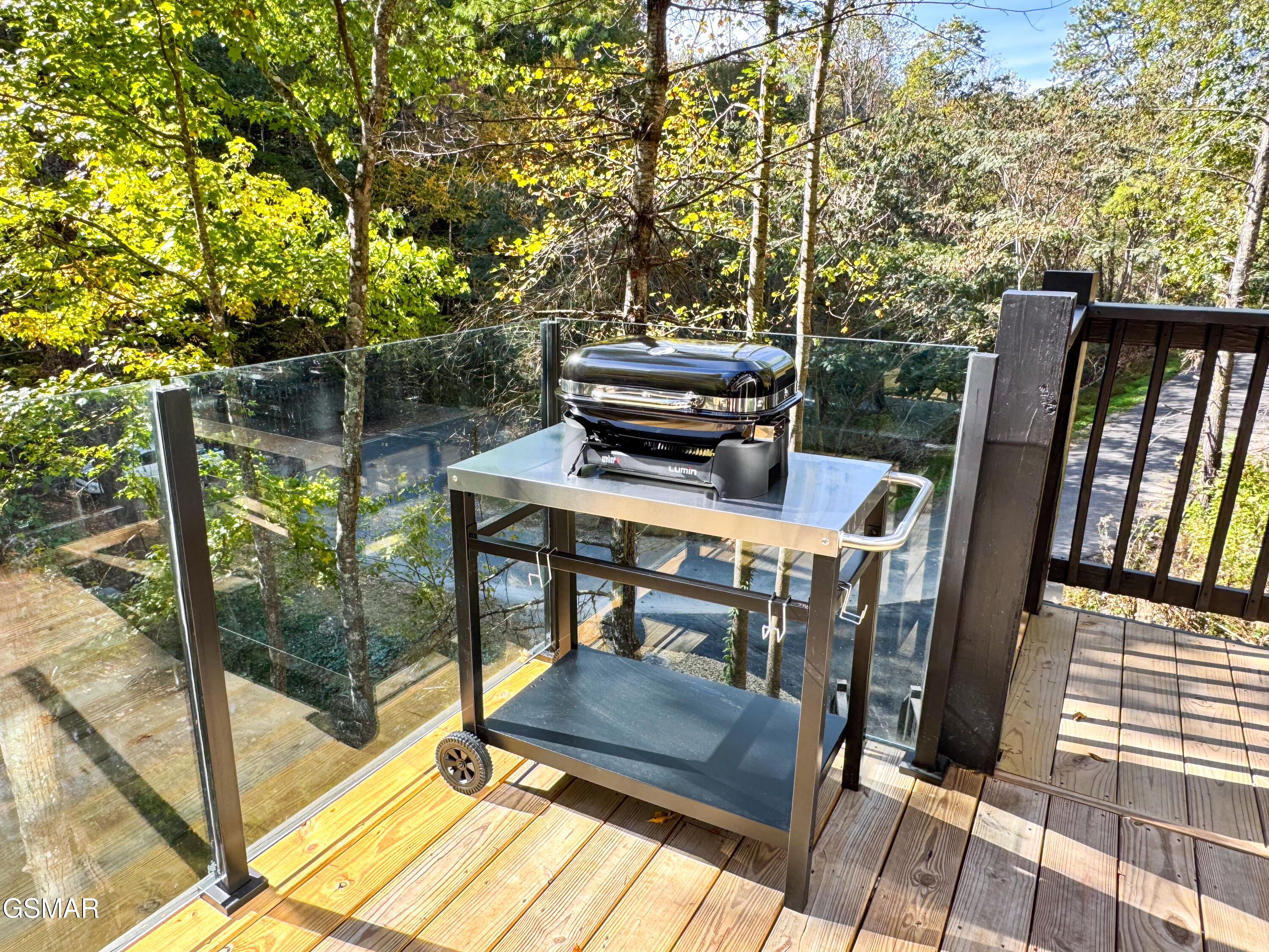 2338 Willow Lane Sevierville TN 37862