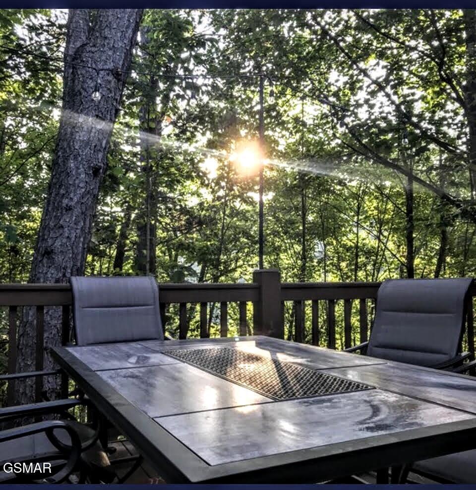 3125 Clearview Road Sevierville TN 37862