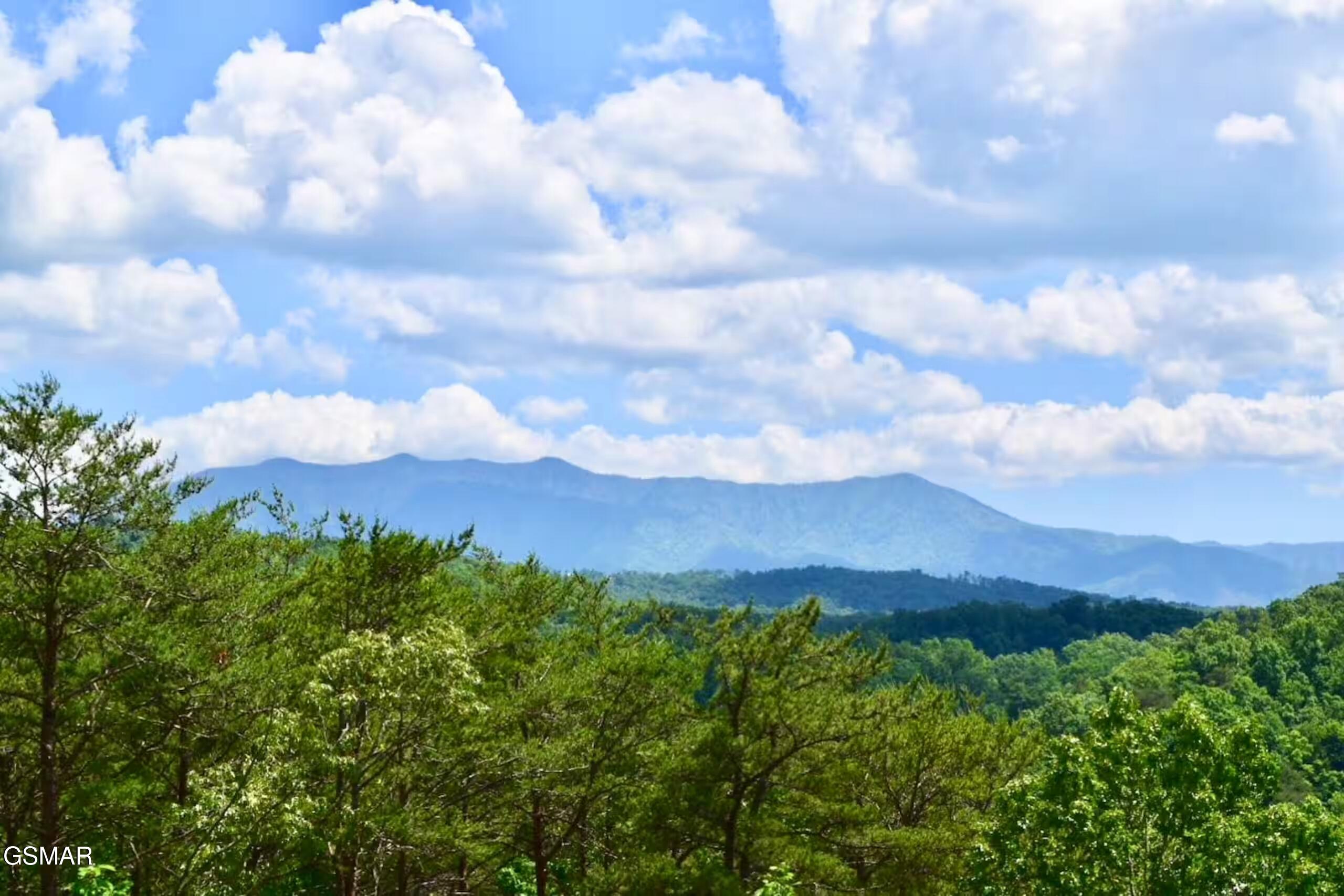 1765 Timber Ridge Way Sevierville TN 37876