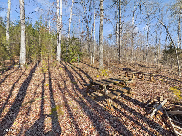 7111 Diamond Branch Road Maryville TN 37801