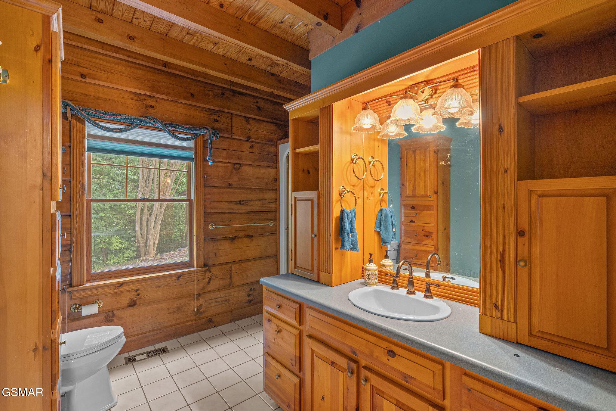 2452 Skyview Way Dandridge TN 37725