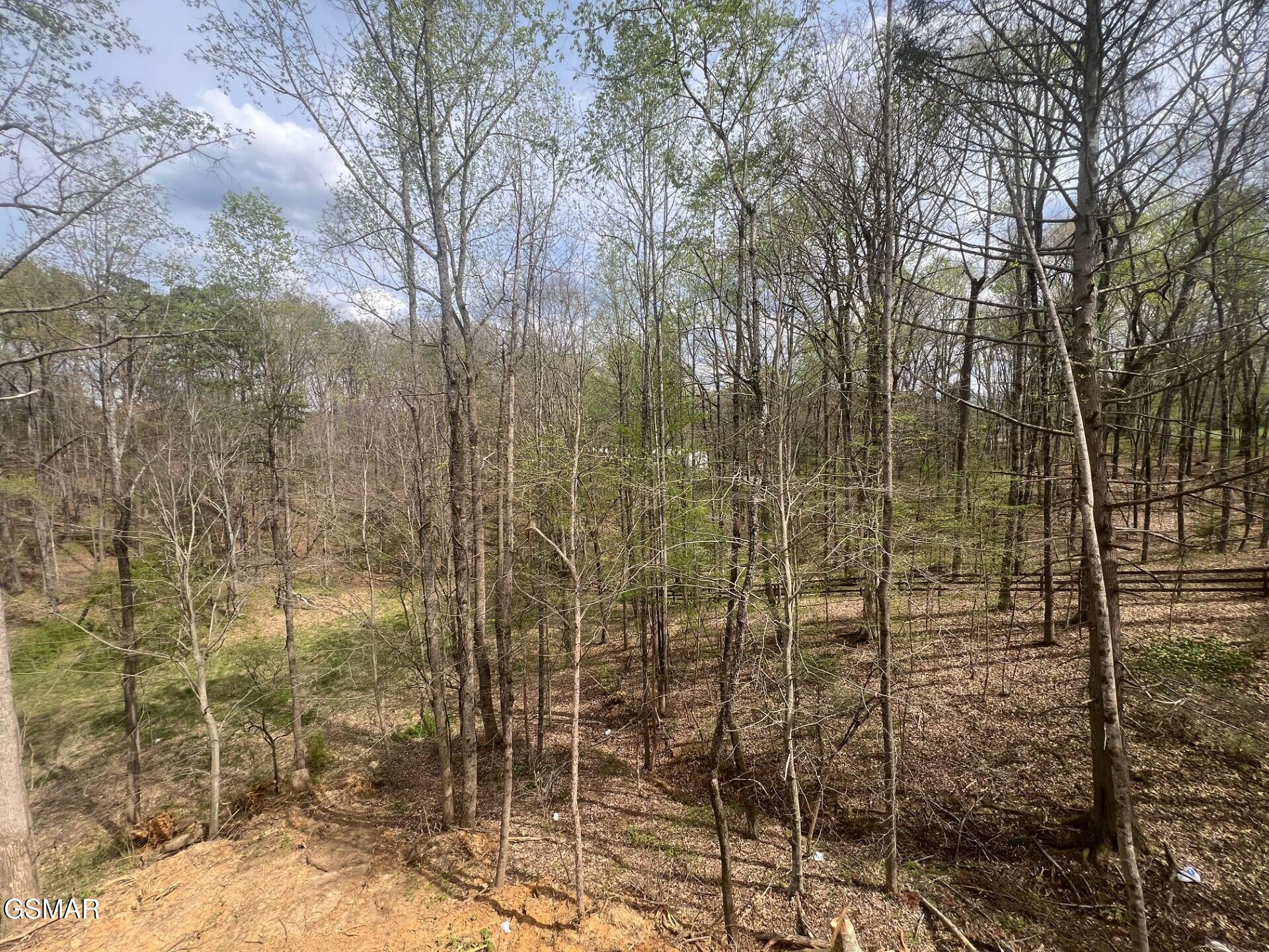 2428 Iron Forge Way Sevierville TN 37876