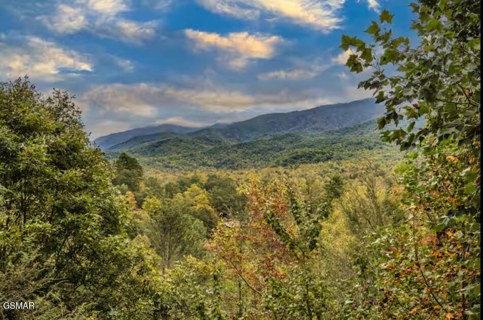 3607 Birdie Lane Gatlinburg TN 37738