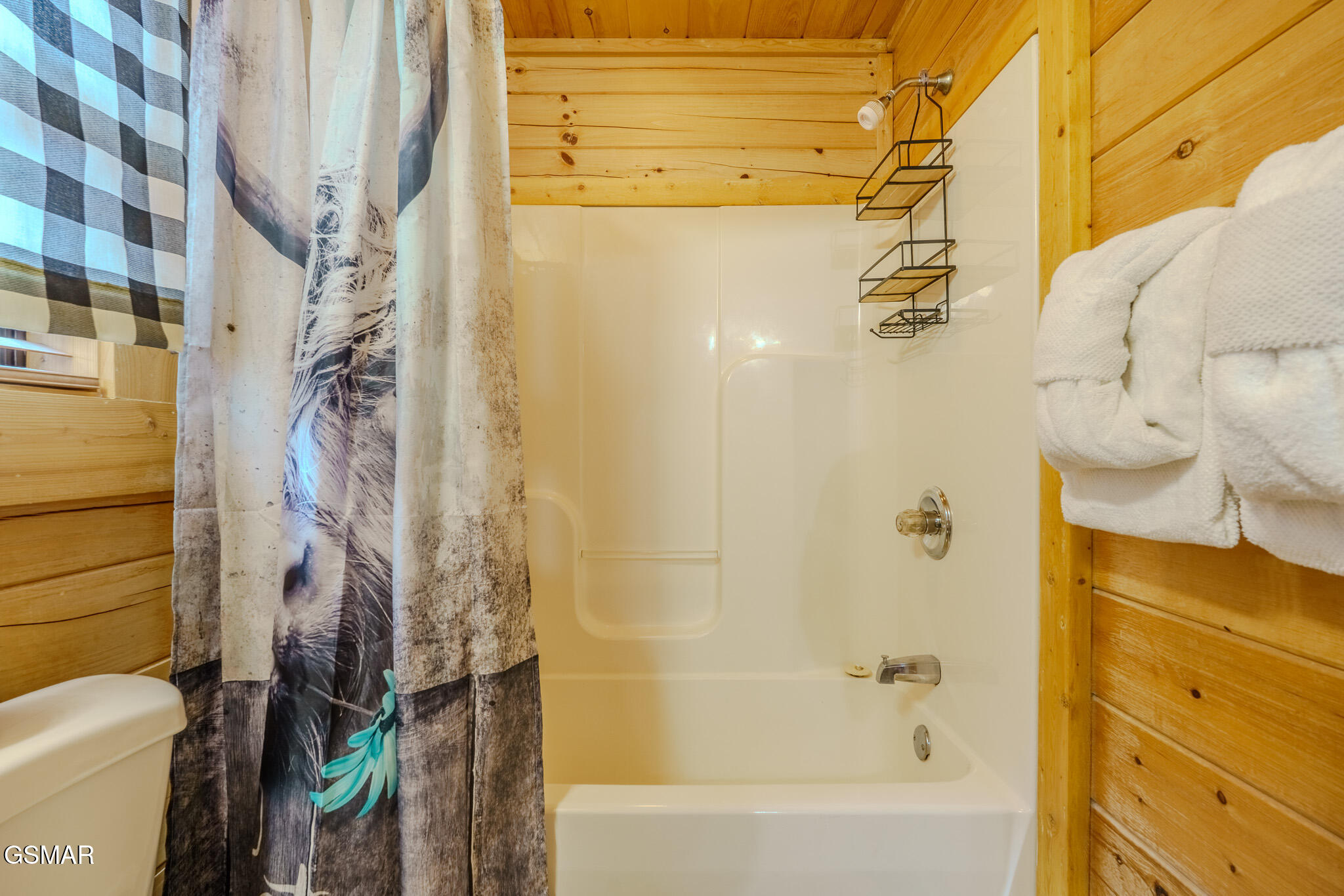 2010 Bear Creek Way Pigeon Forge TN 37862