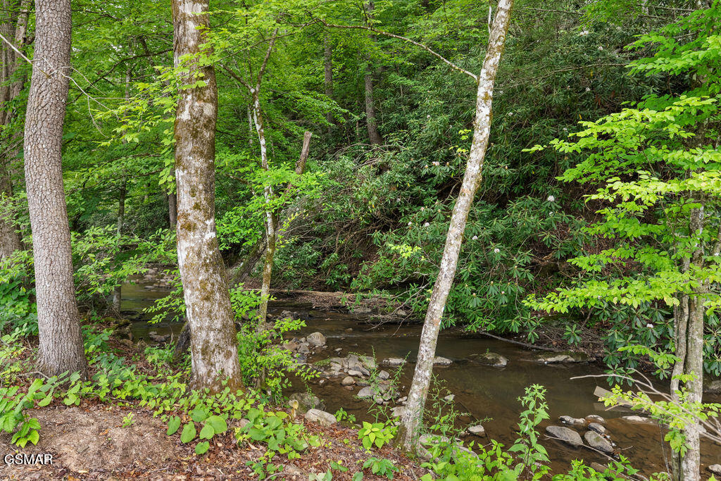 2215 Sawmill Cv Drive Sevierville TN 37862
