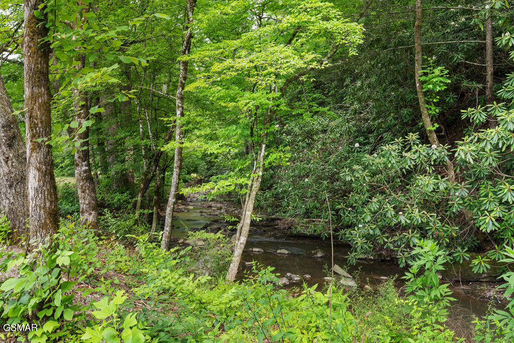 2215 Sawmill Cv Drive Sevierville TN 37862