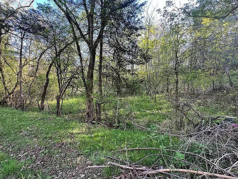 1302 Smith School Road Strawberry Plains TN 37871