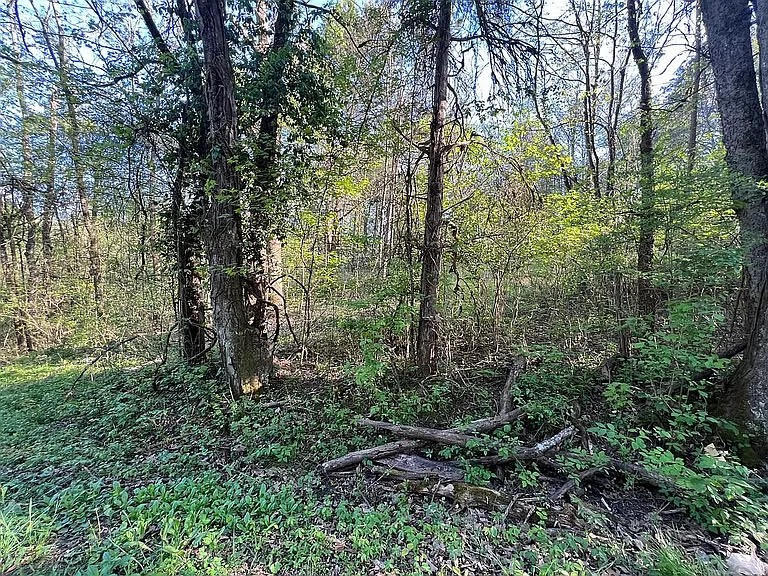 1302 Smith School Road Strawberry Plains TN 37871