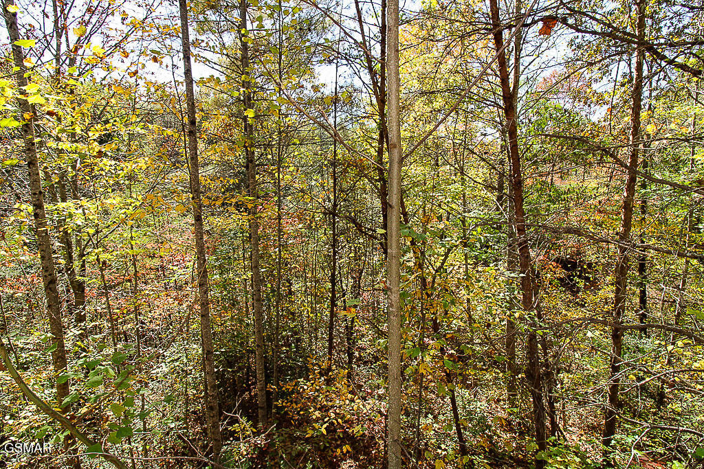 2015 Bird Ridge Road Sevierville TN 37876