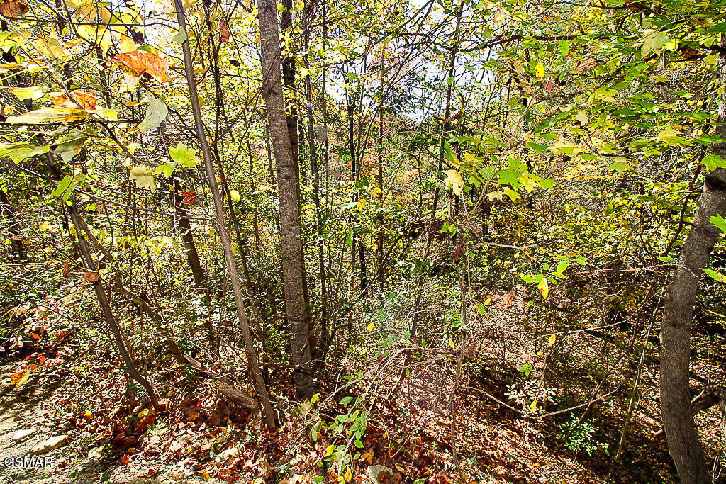 2015 Bird Ridge Road Sevierville TN 37876