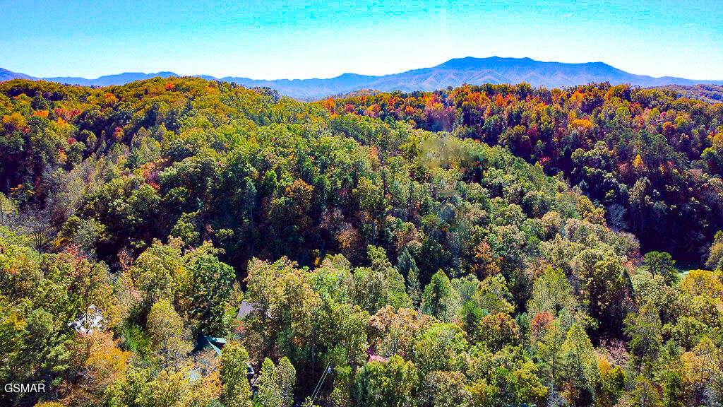 2015 Bird Ridge Road Sevierville TN 37876