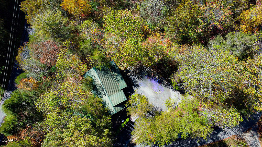 2015 Bird Ridge Road Sevierville TN 37876
