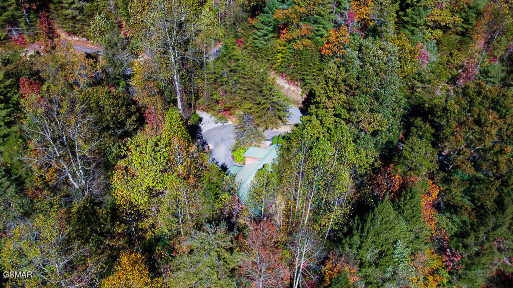 2015 Bird Ridge Road Sevierville TN 37876