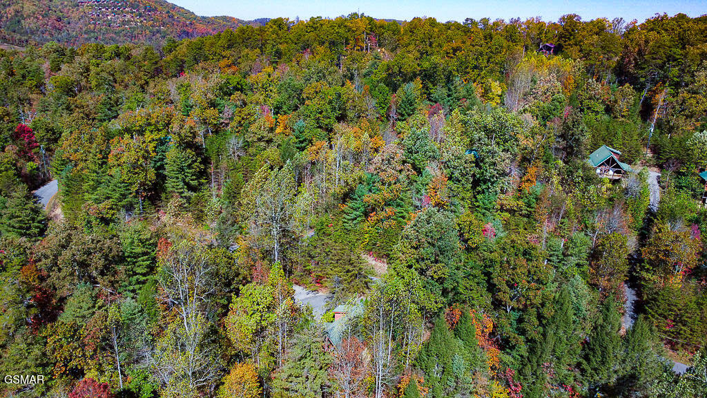 2015 Bird Ridge Road Sevierville TN 37876