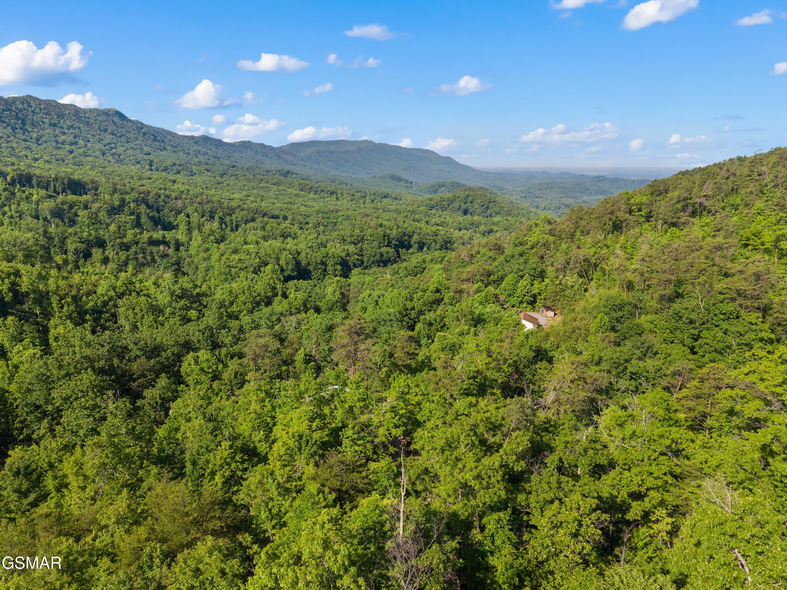 1053 Reagan Springs Road Seymour TN 37865