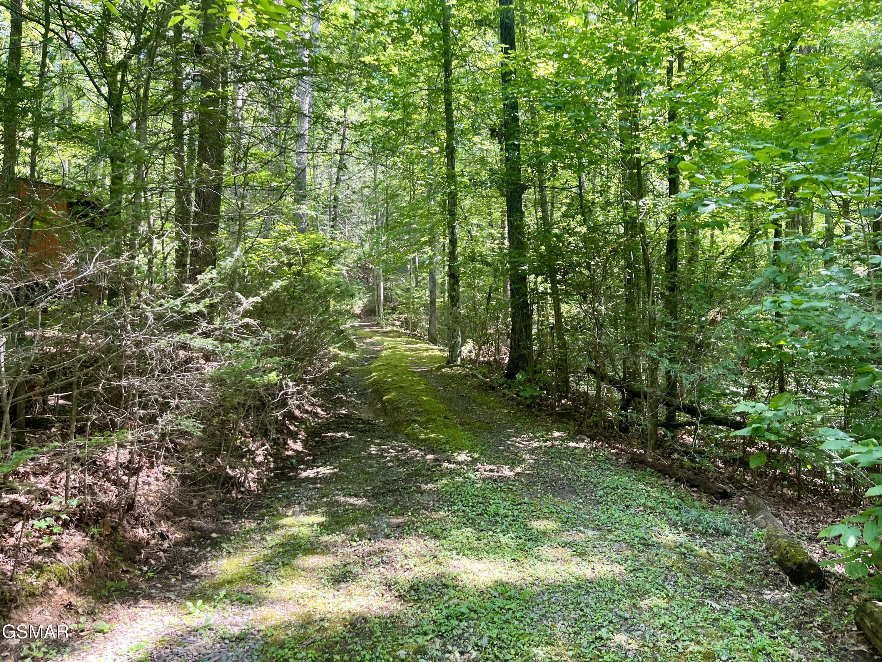 2537 Waldens Creek Road Sevierville TN 37862