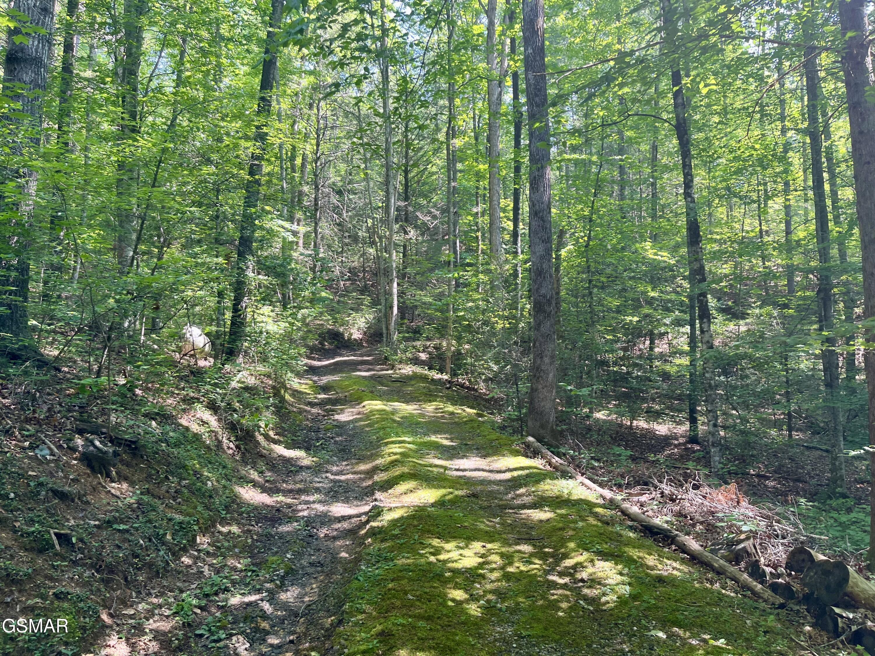 2537 Waldens Creek Road Sevierville TN 37862