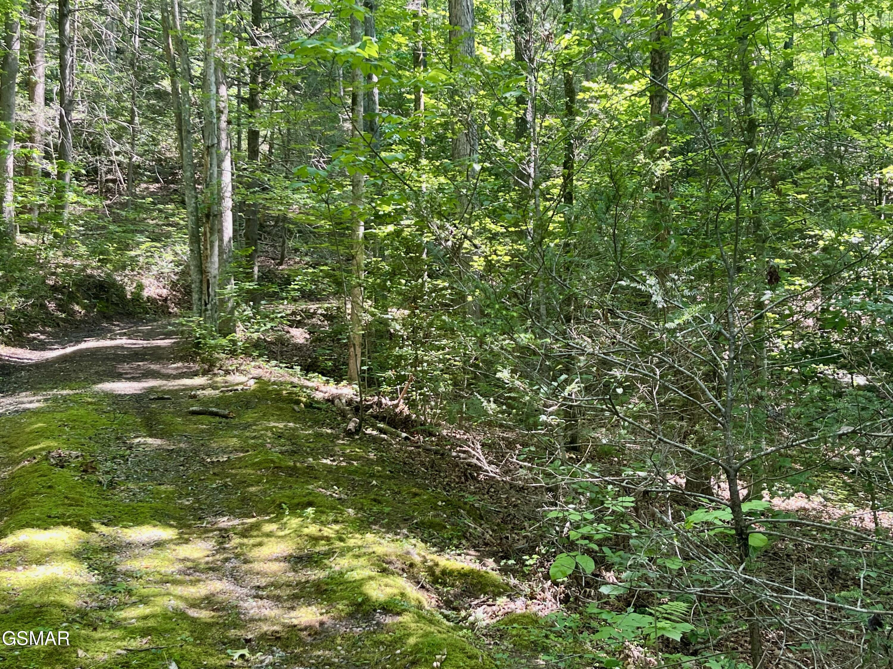 2537 Waldens Creek Road Sevierville TN 37862