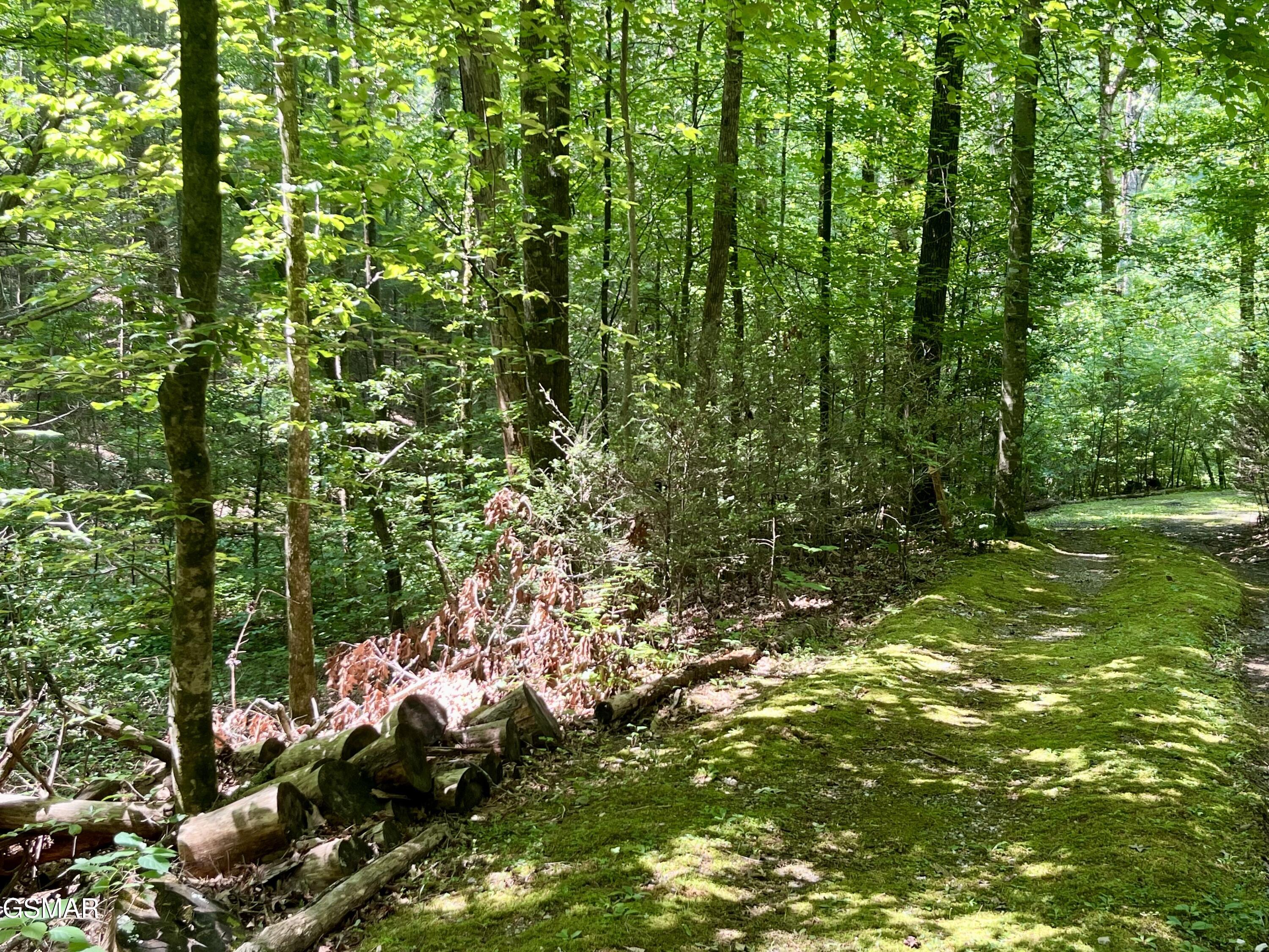 2537 Waldens Creek Road Sevierville TN 37862