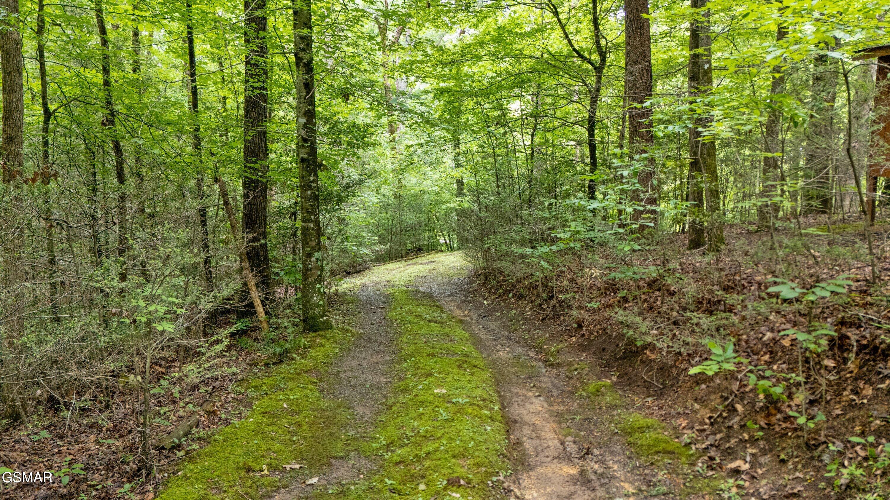 2537 Waldens Creek Road Sevierville TN 37862