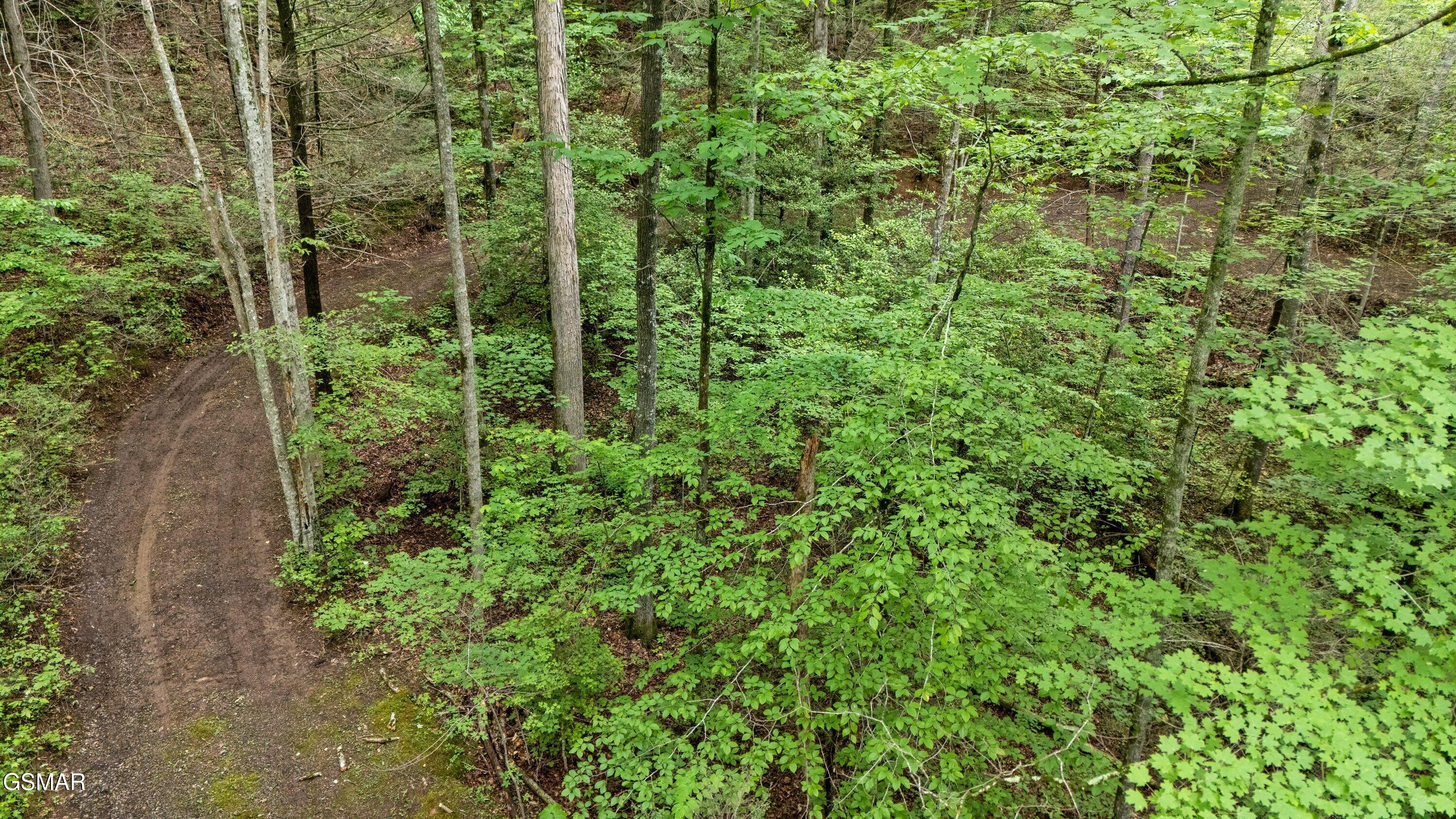 2537 Waldens Creek Road Sevierville TN 37862