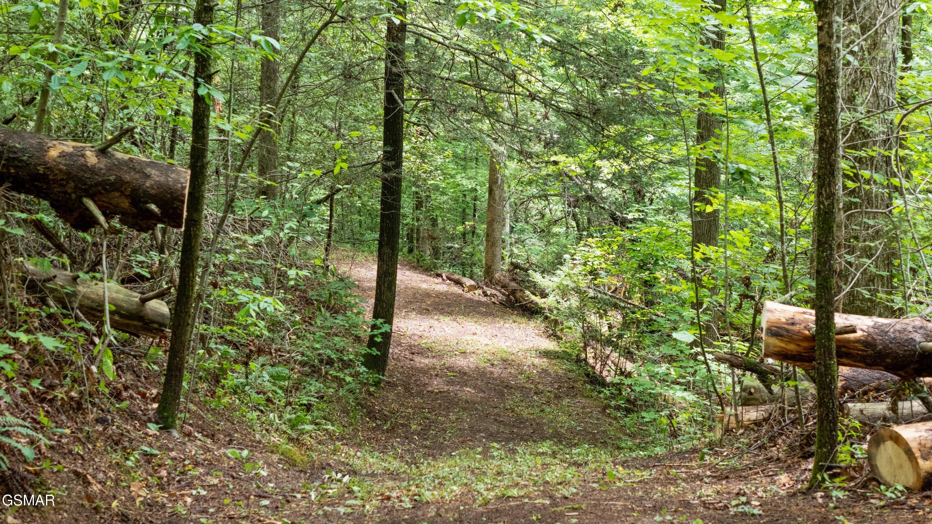 2537 Waldens Creek Road Sevierville TN 37862